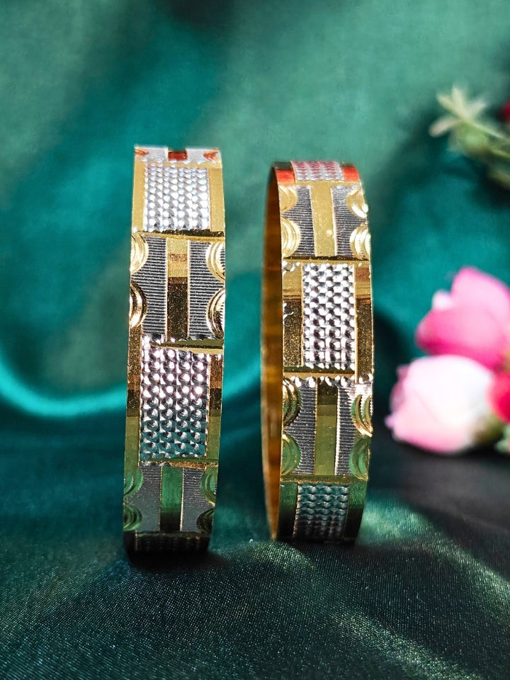 Devrati Bangles - Set of 2 (Size 2.4)