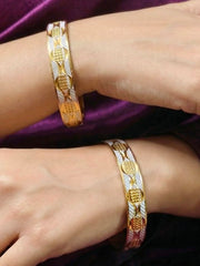 Kanchan Gold-Silver Bangles - Set of 2 (Size 2.6)