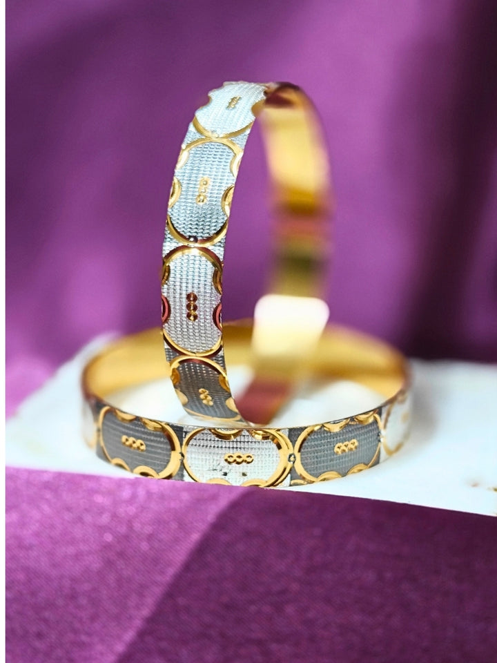 Close-up of an ornate traditional (Gold Polish) Grey & White Bangles Set. It’s comfortable and lightweight enough for everyday wear, and it also looks absolutely beautiful and elegant. The design is stylish, the finish is impressive, and it feels really pleasant to wear all day.