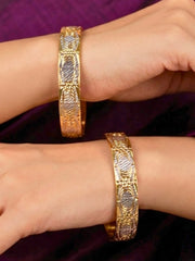 Neeravi Gold-Silver Bangles - Set of 2 (Size 2.6)