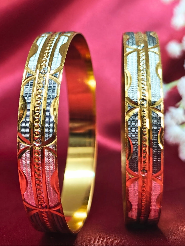 Close-up of an ornate traditional (Gold Polish) Grey & White  Bangles Set. It’s comfortable and lightweight enough for everyday wear, and it also looks absolutely beautiful and elegant. The design is stylish, the finish is impressive, and it feels really pleasant to wear all day.