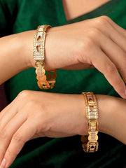 Tavishi Gold-Silver Bangles - Set of 2 (Multiple Sizes)
