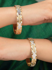 Yoshita Gold-Silver Bangles - Set of 2 (Size 2.6)